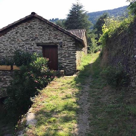 Maison Rurale Au Coeur Des Cevennes Ardechoises Dompnac Eksteriør billede