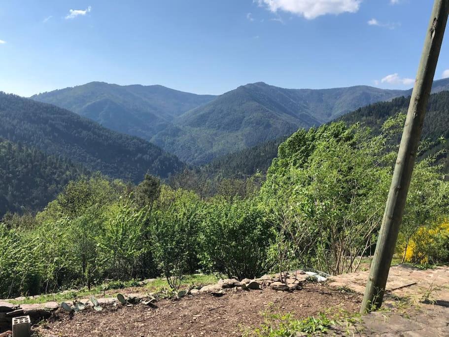 Maison Rurale Au Coeur Des Cevennes Ardechoises Dompnac Eksteriør billede